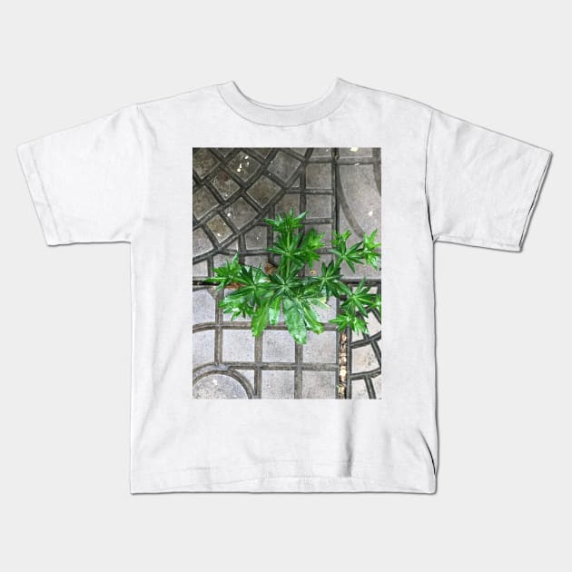 Culantro herb grass on the pavement background Kids T-Shirt by FOGSJ